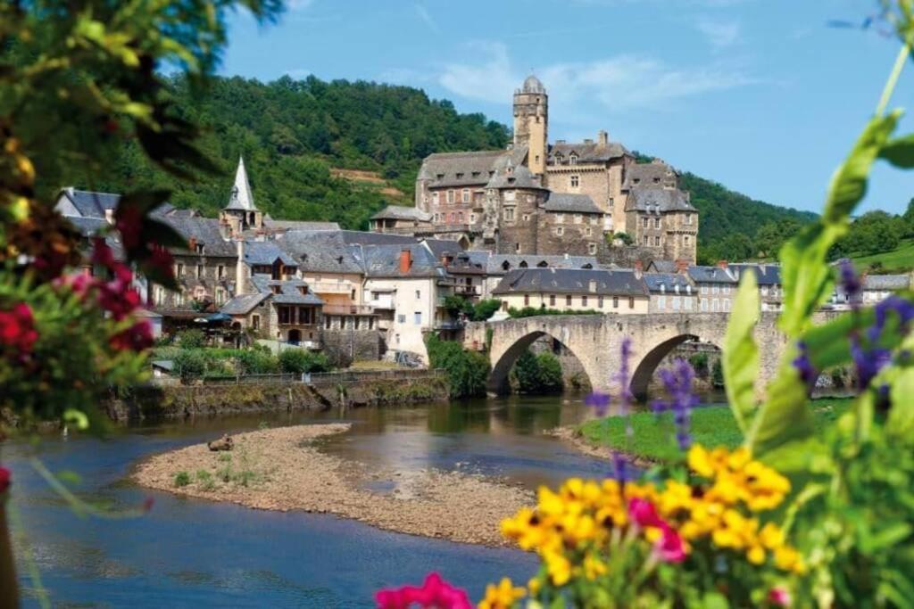 T 2 Dans Village Vacances 3 *** A Saint Geniez 2 Piscines Chauffee Pierrefiche  Exterior foto